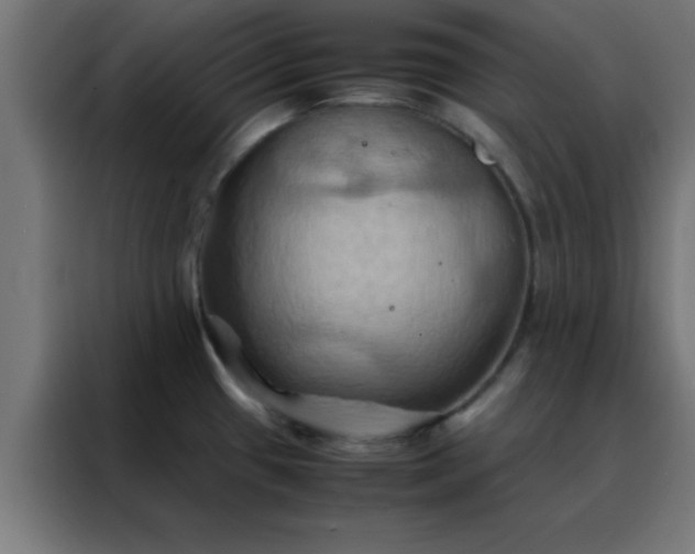 X0000088191433200705221653