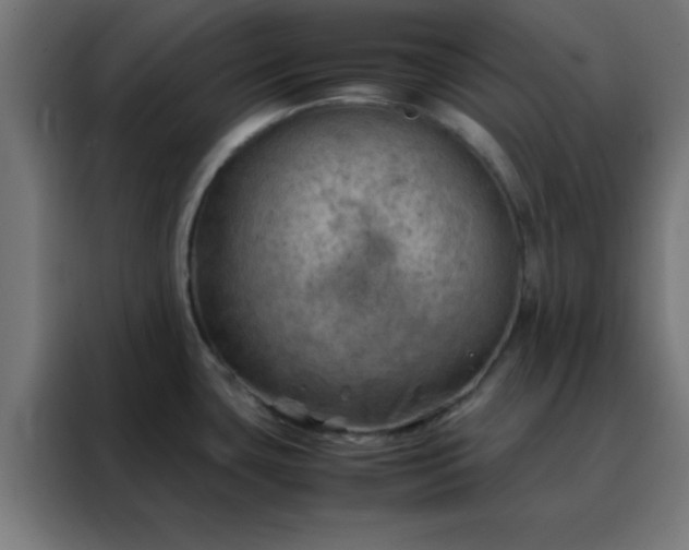 X0000088191435200705221653