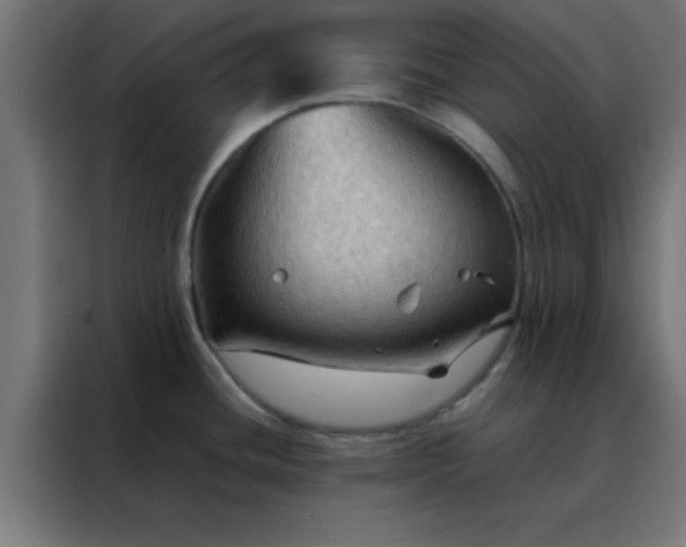 X0000088191436200705221653