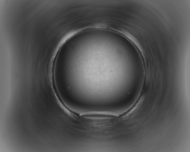 X0000088191437200705221653