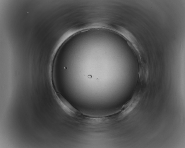 X0000088191438200705221653