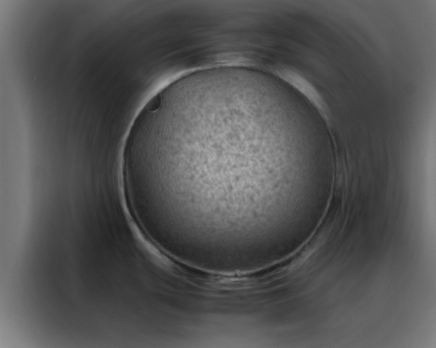 X0000088191439200705221653