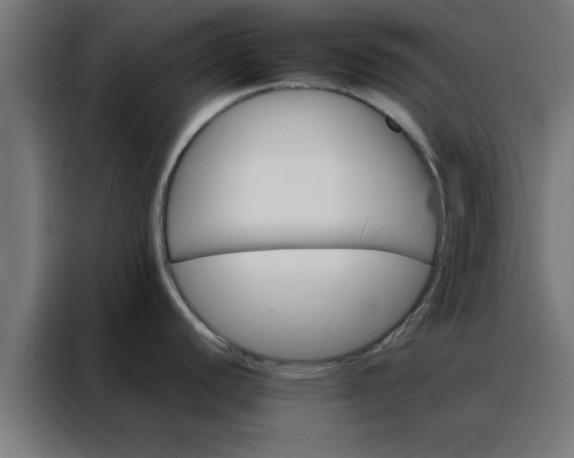 X0000088191440200705221653
