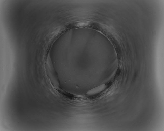 X0000088191441200705221653