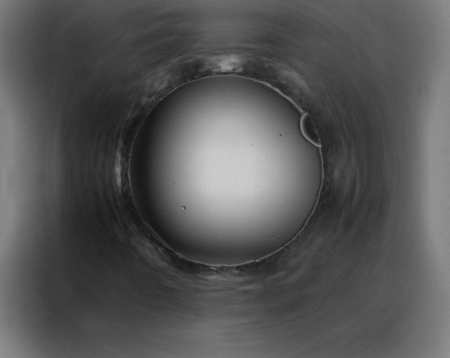X0000088191442200705221653
