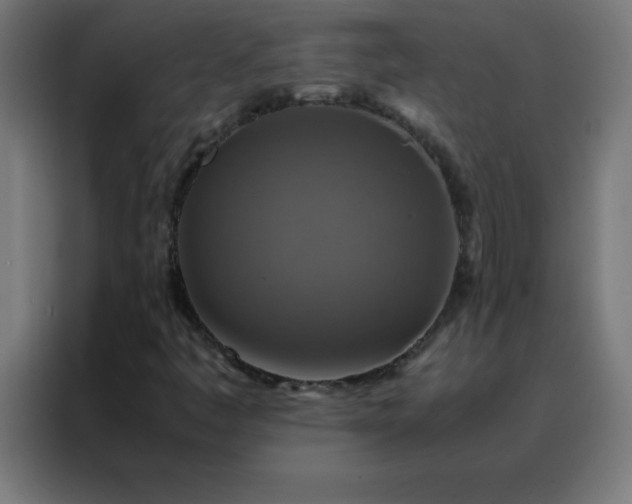 X0000088191445200705221653
