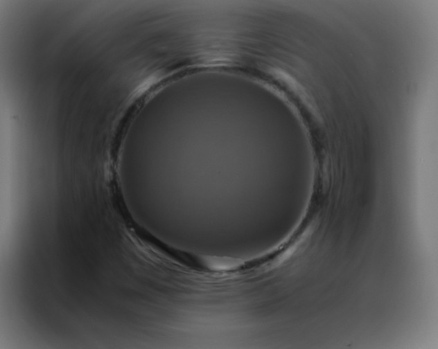 X0000088191449200705221653