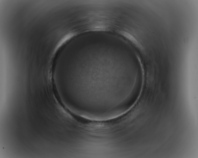 X0000088191450200705221653