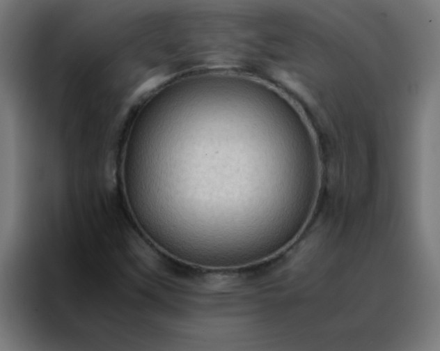 X0000088191451200705221653