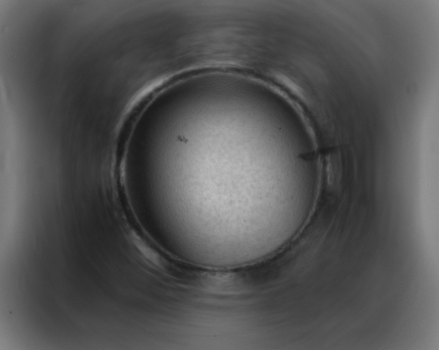 X0000088191452200705221653
