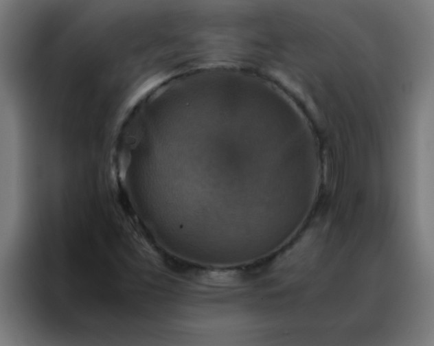 X0000088191453200705221653