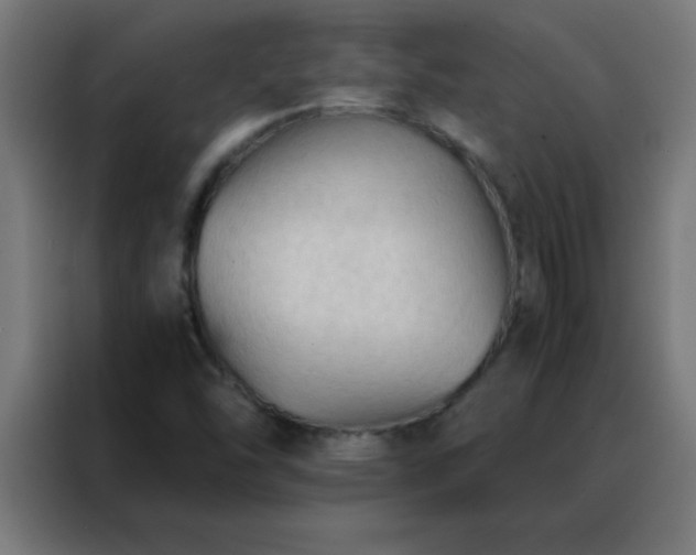 X0000088191454200705221653