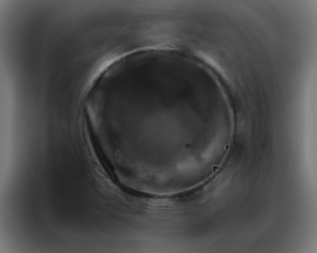 X0000088191455200705221653