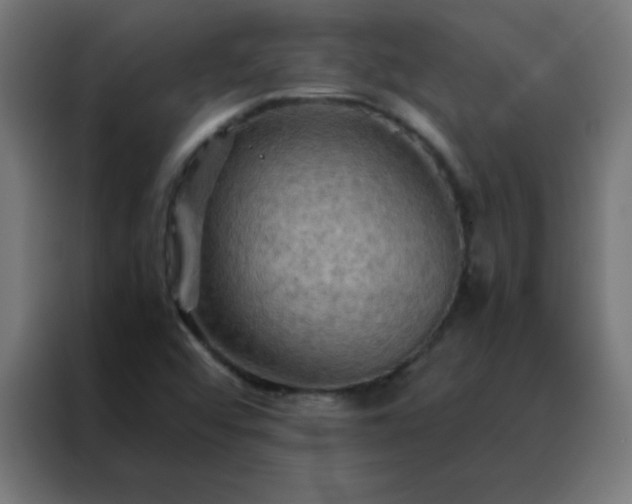 X0000088191456200705221653