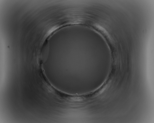X0000088191457200705221653