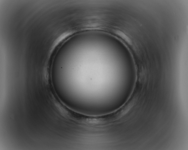 X0000088191458200705221653