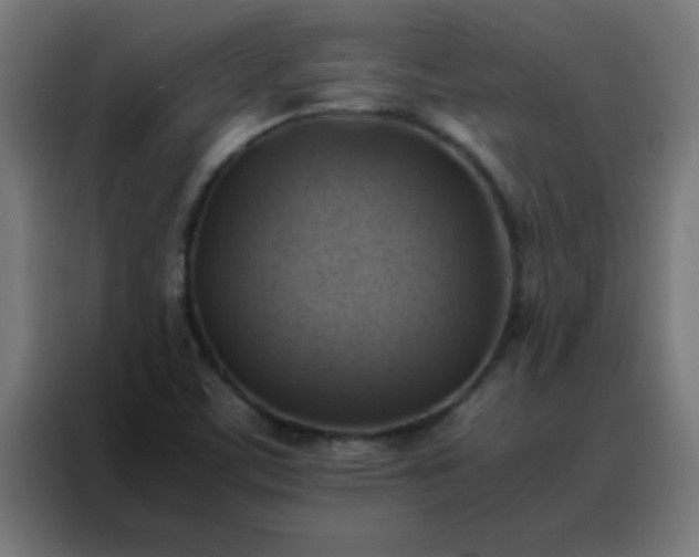 X0000088191459200705221652