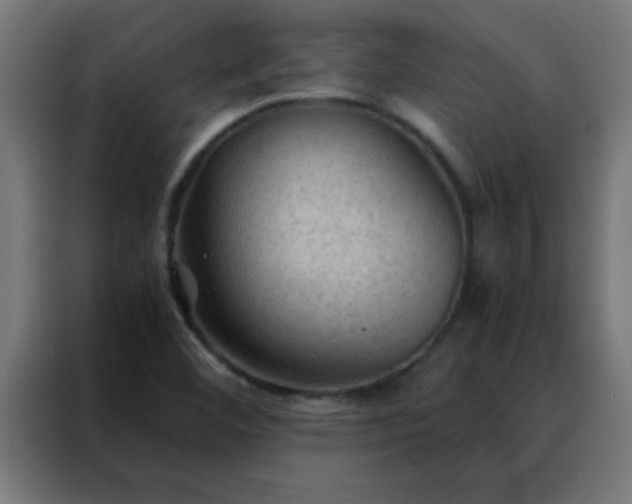 X0000088191460200705221652