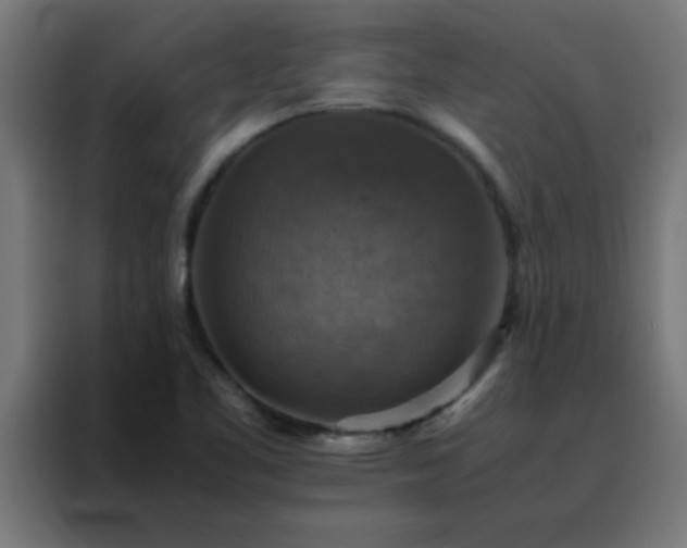 X0000088191461200705221652