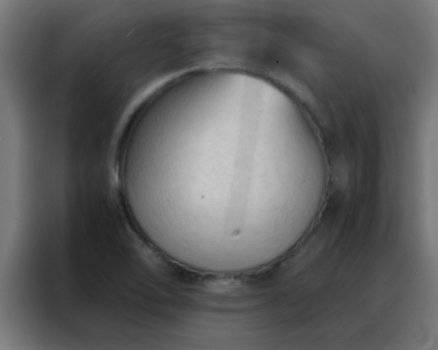 X0000088191462200705221652
