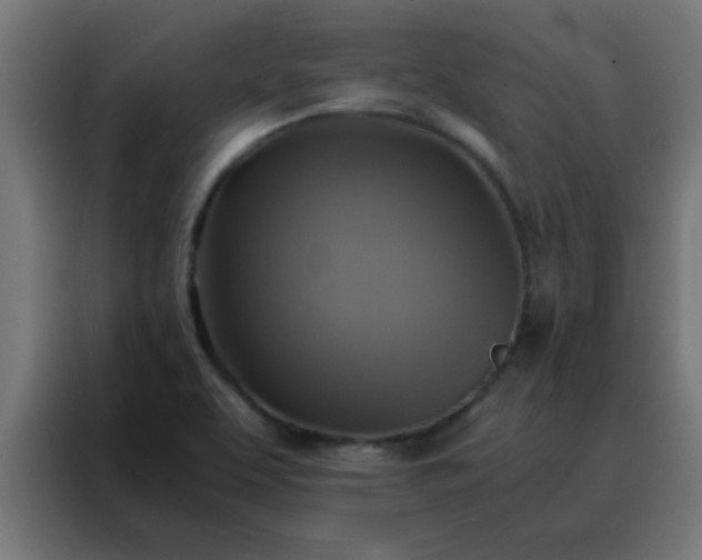 X0000088191463200705221652