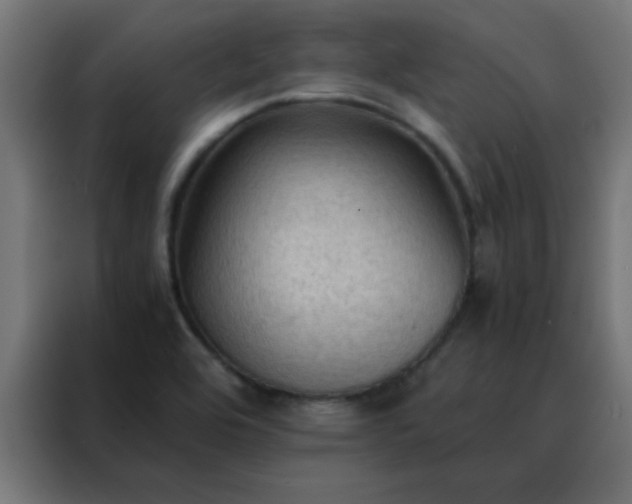 X0000088191464200705221652