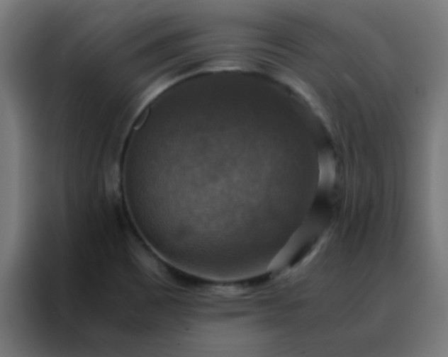 X0000088191465200705221652