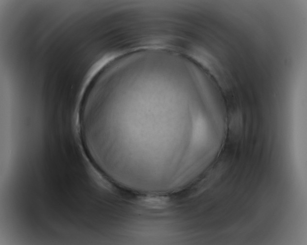 X0000088191466200705221652