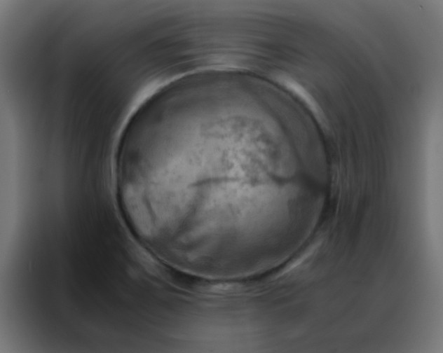 X0000088191467200705221652
