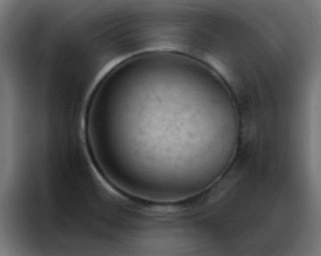 X0000088191468200705221652