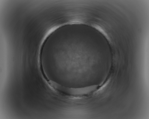 X0000088191469200705221652