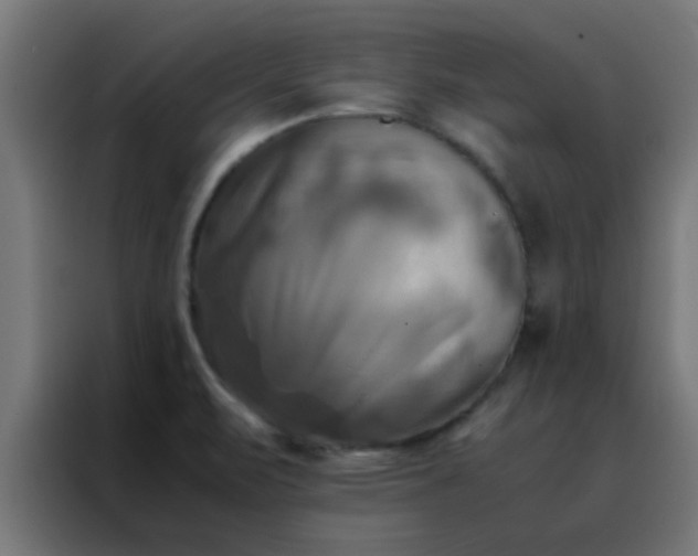 X0000088191471200705221652