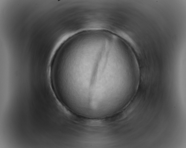 X0000088191472200705221652