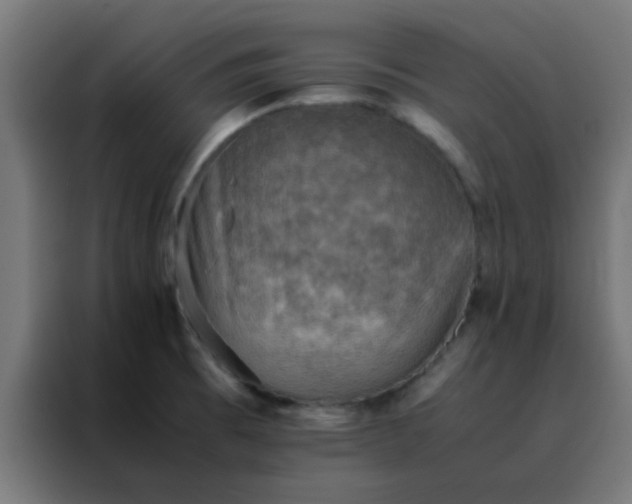 X0000088191473200705221652