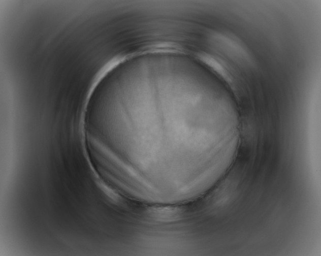 X0000088191474200705221652