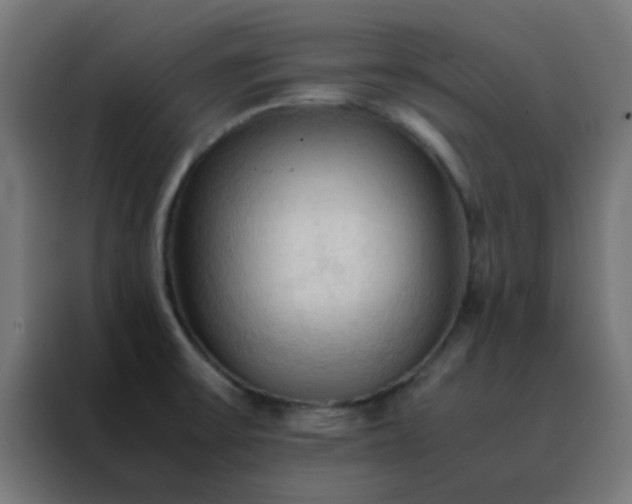 X0000088191475200705221652