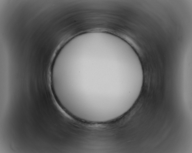 X0000088191476200705221652