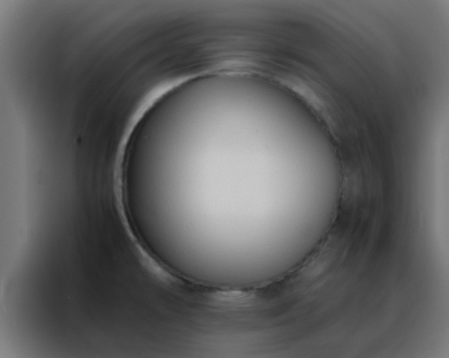 X0000088191478200705221652