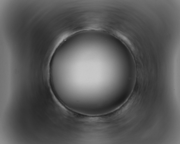 X0000088191479200705221652
