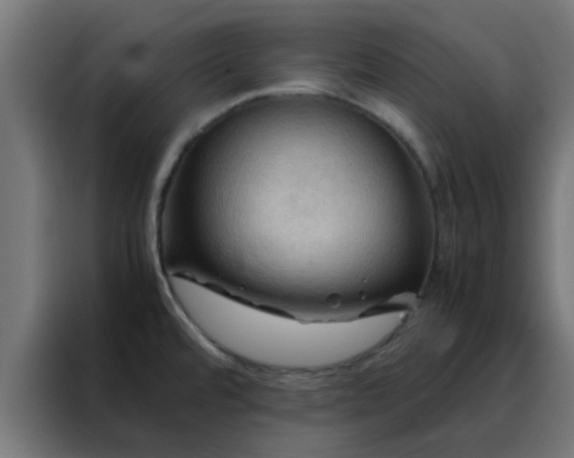 X0000088191480200705221652