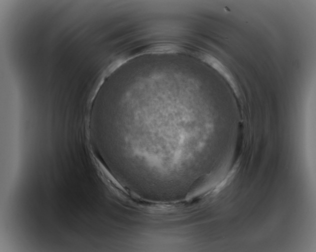 X0000088191481200705221652