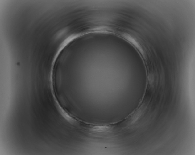 X0000088191482200705221652