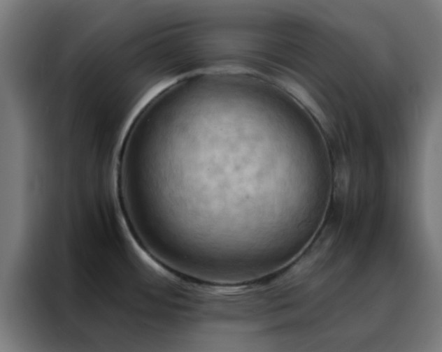 X0000088191484200705221652