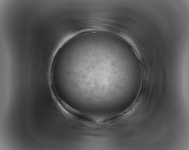 X0000088191485200705221652