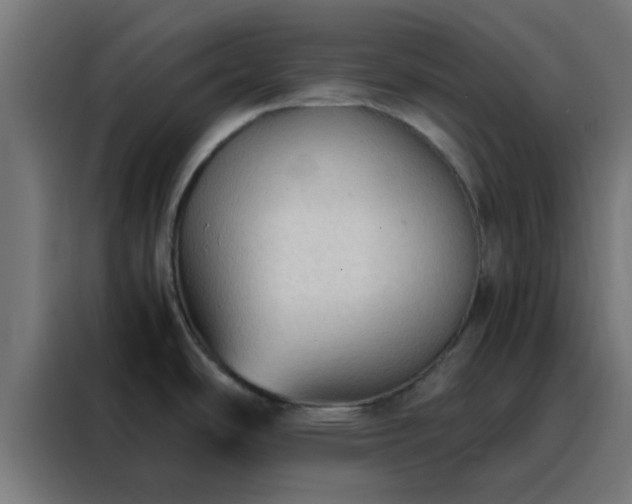 X0000088191486200705221652