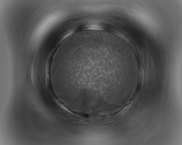 X0000088191487200705221652