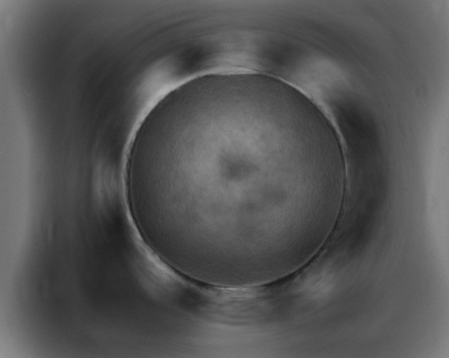 X0000088191488200705221652