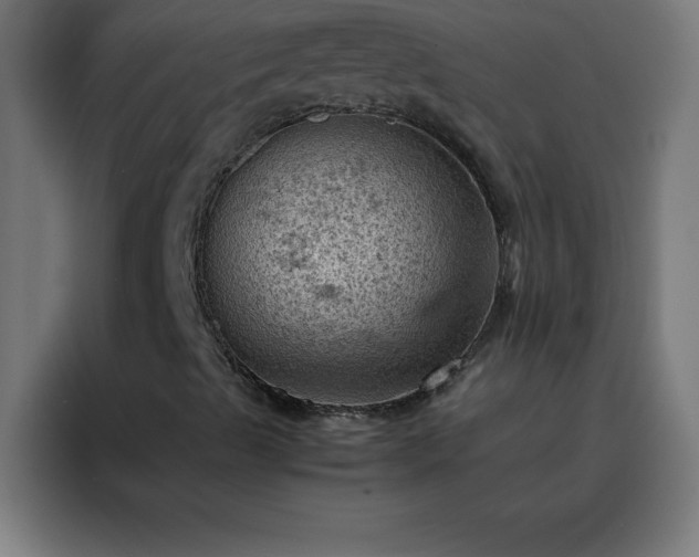 X0000088191489200705221651