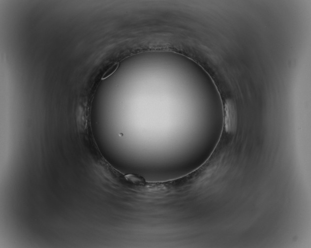 X0000088191491200705221652