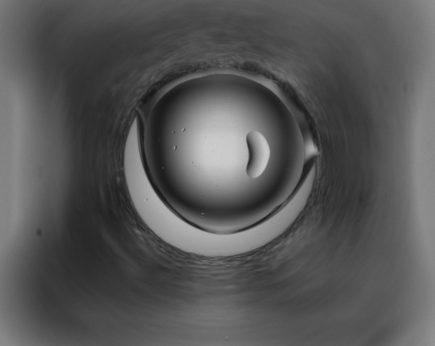 X0000088191492200705221652